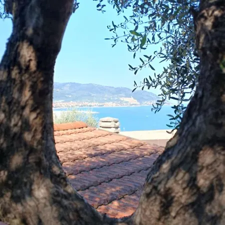 Haus Mizzl * Diano Marina